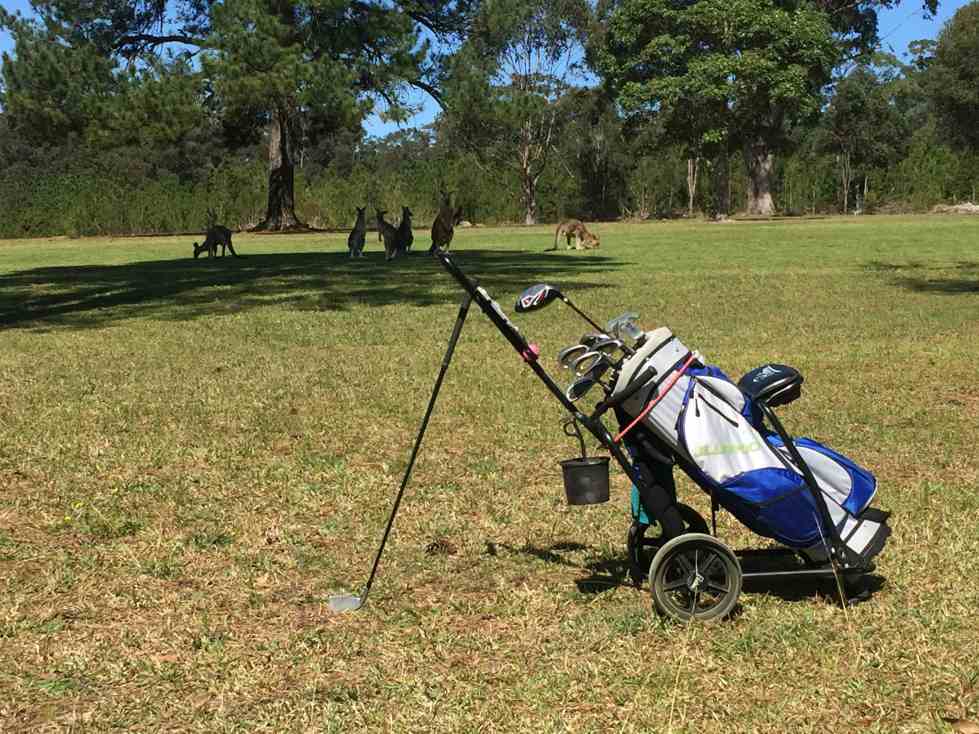 Elvagn golf bäst i test